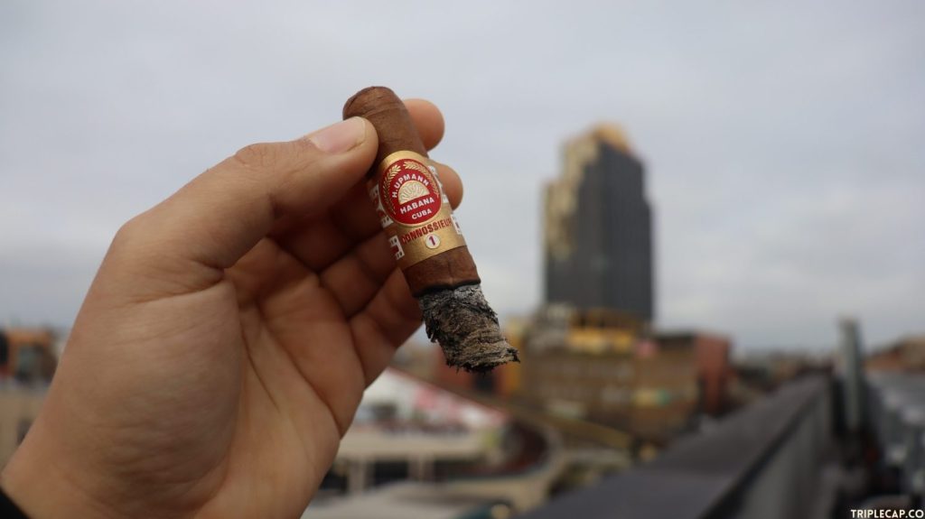 H. Upmann Connossieur 1 Conclusions
