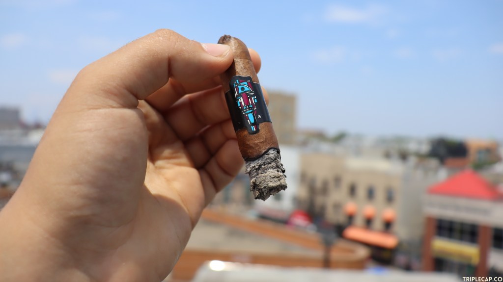 SP1014 Antra Conclusions