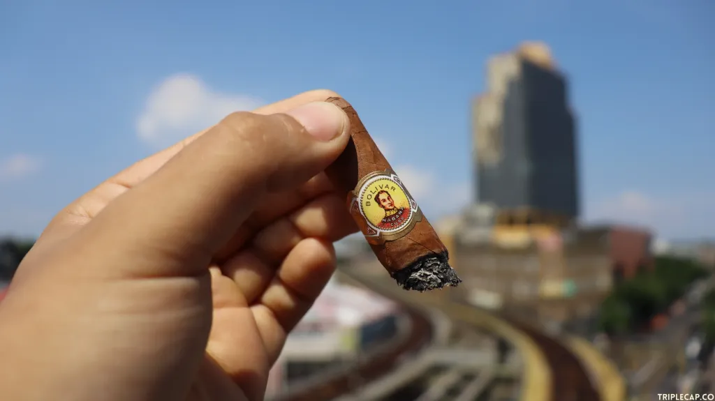 Bolivar Petit Corona Conclusions