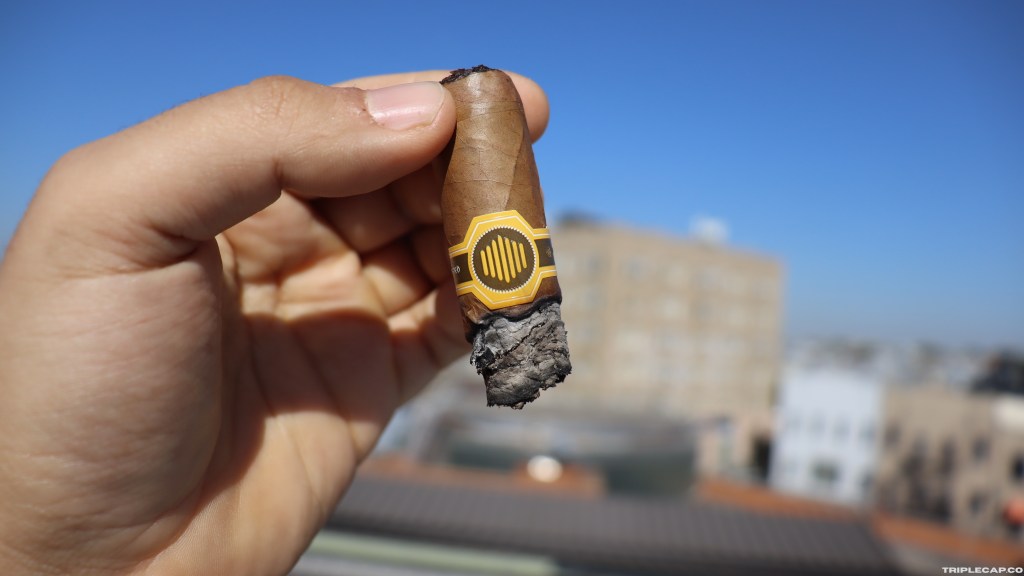 Warped La Colmena 10th Anniversary Conclusions