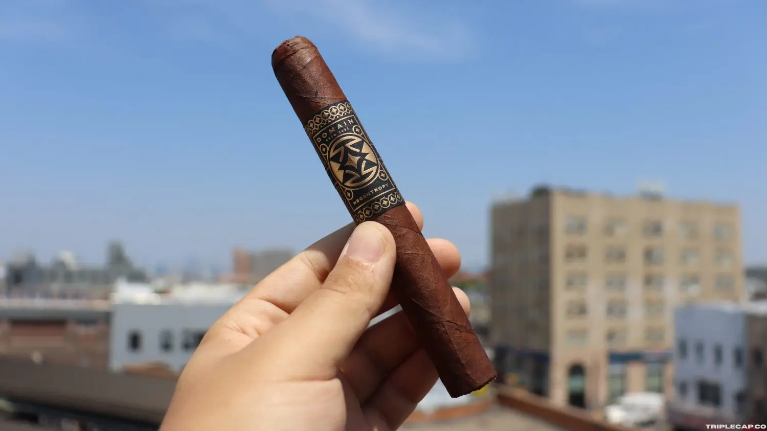 Domain Negentropy Prelight