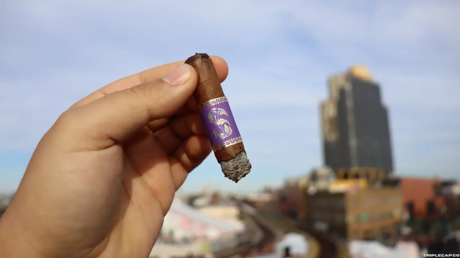 A person holding a cigar with a purple band in front of a cityscape and a cloudy sky.