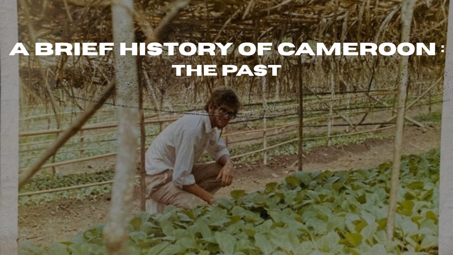 A Brief History of Cameroon: The Past A Brief History of Cameroon: The Past