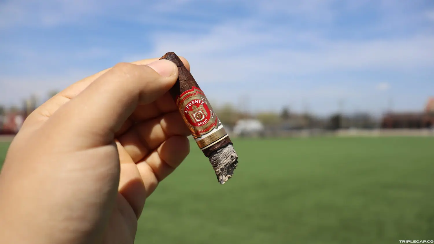 Arturo Fuente Anejo 888 Conclusions Arturo Fuente Anejo 888 Conclusions