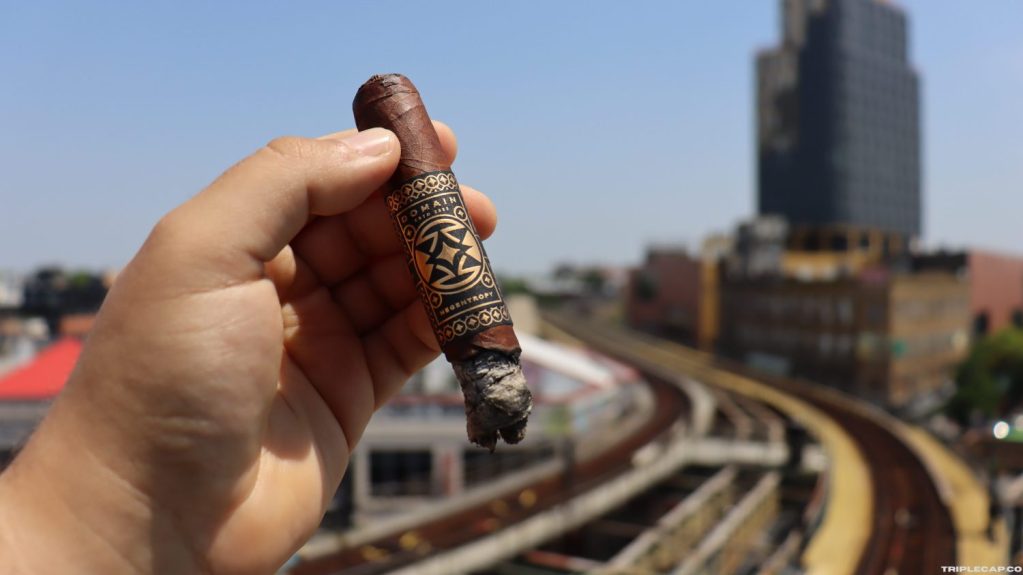 Domain Negentropy Conclusions Domain Negentropy Conclusions