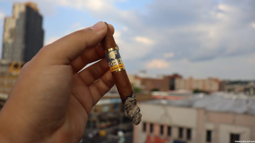 Cohiba Coronas Especiales Final Third