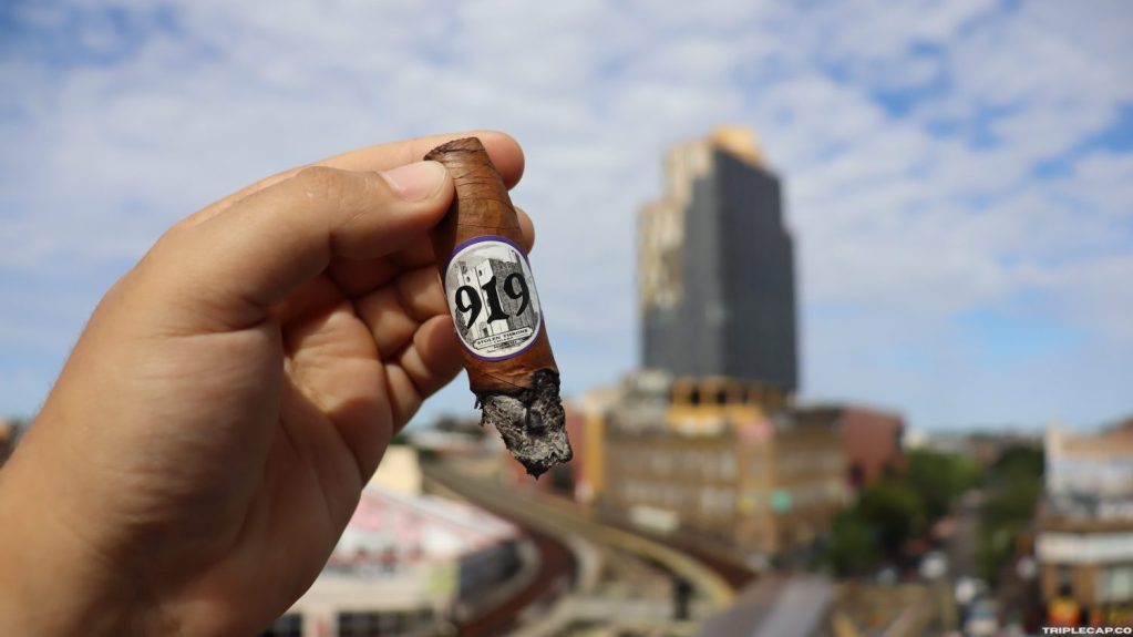 Stolen Throne Castle 919 Final Third A hand holding a partially smoked cigar labeled '919' against a city skyline with buildings and a blue sky.