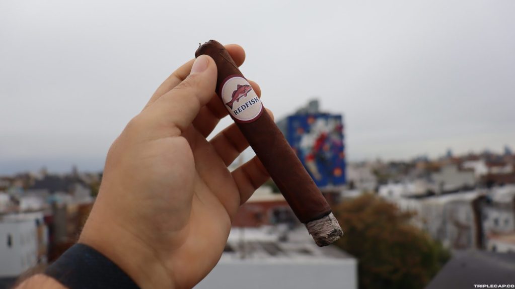 A hand holding a REDFISH cigar against a cloudy urban skyline.