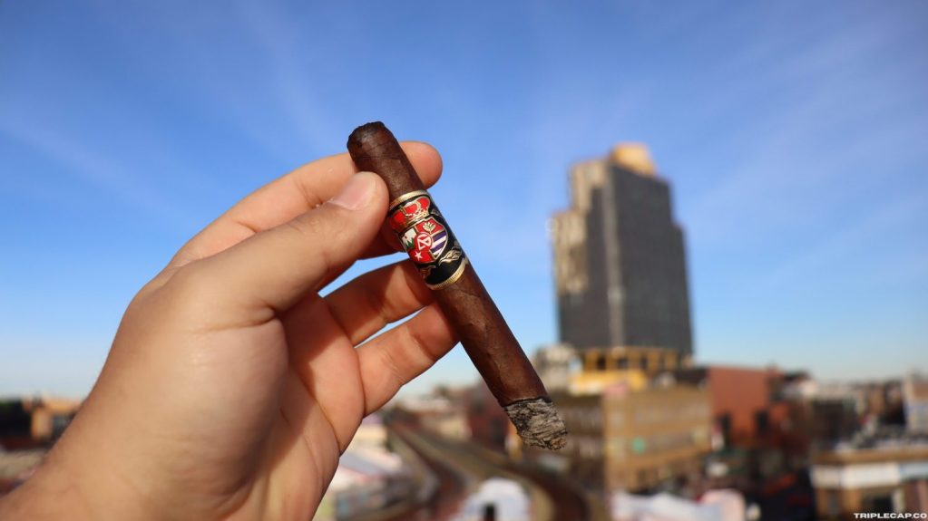 A person holding a dark brown cigar with a decorative band in front of a city skyline under a clear blue sky.